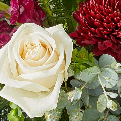 Cranberry Fizz Bouquet – MOSER'S SUPERMARKET, Columbia MO