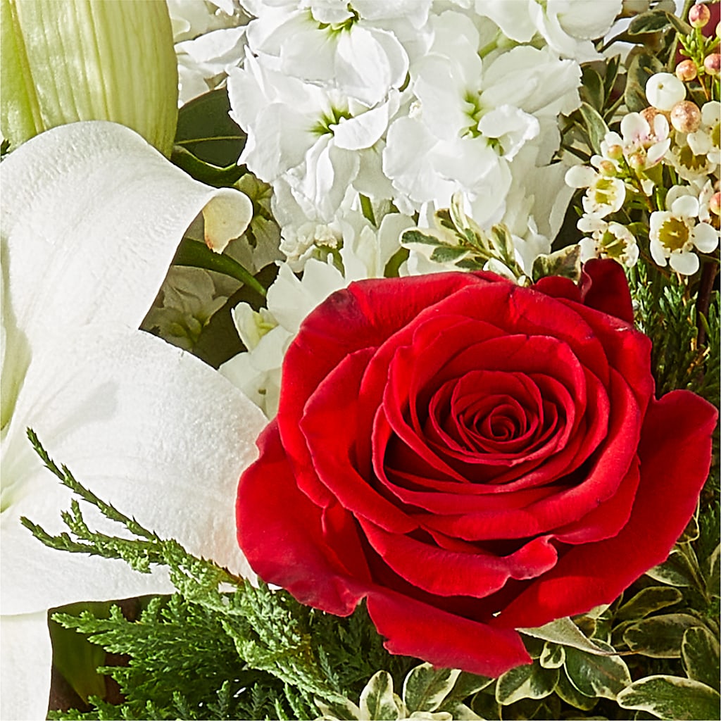 Twinkle Lights Bouquet – MOSER'S SUPERMARKET, Columbia MO