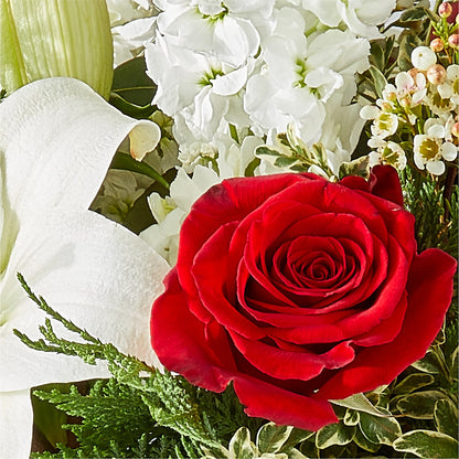 Twinkle Lights Bouquet – MOSER'S SUPERMARKET, Columbia MO