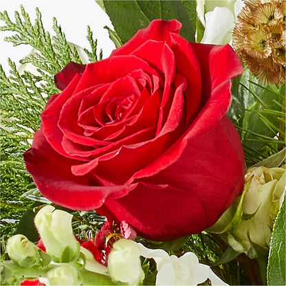 Deck the Halls Bouquet – MOSER'S SUPERMARKET, Columbia MO