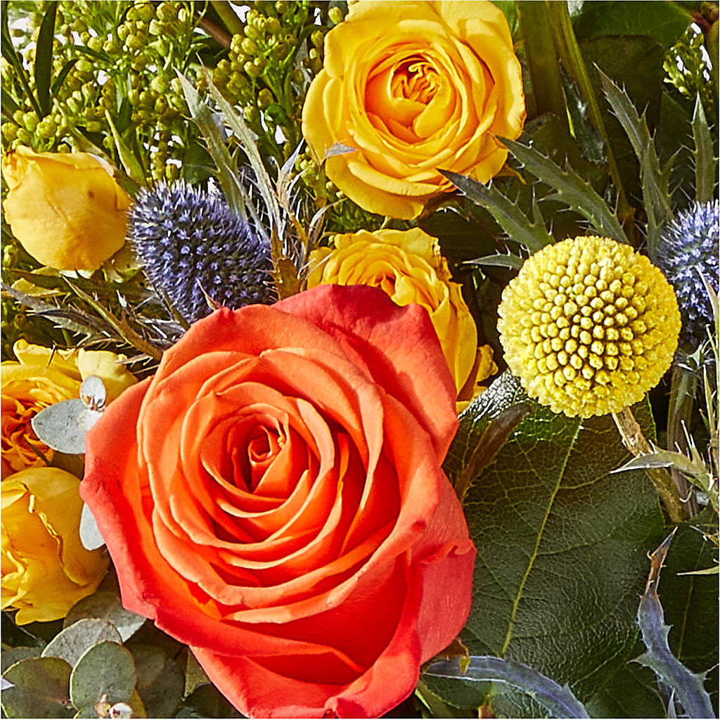 Disco Bouquet – MOSER'S SUPERMARKET, Columbia MO