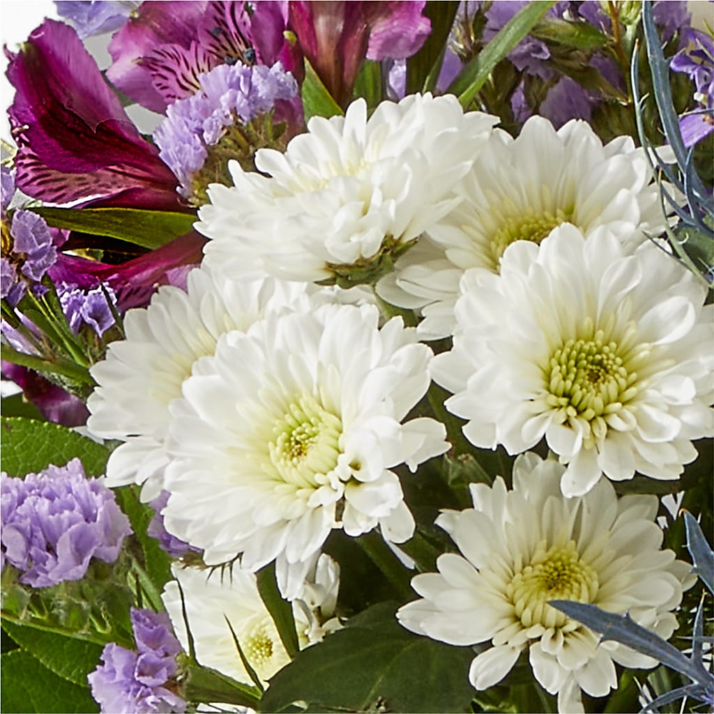 Shooting Star Bouquet – MOSER'S SUPERMARKET, Columbia MO