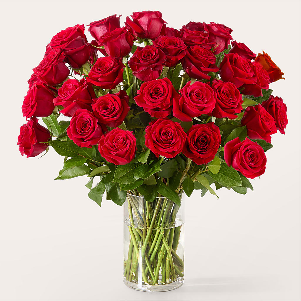 The One Red Rose Bouquet – MOSER'S SUPERMARKET, Columbia MO